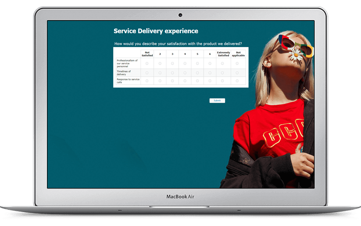 Simple example of a customer satisfaction survey