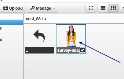 select uploaded image