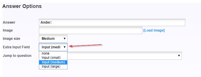 Extra input field settings