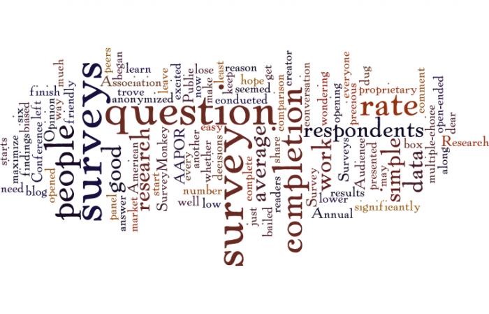 voorbeelden-van-het-verwerken-van-open-vragen-in-je-enquête